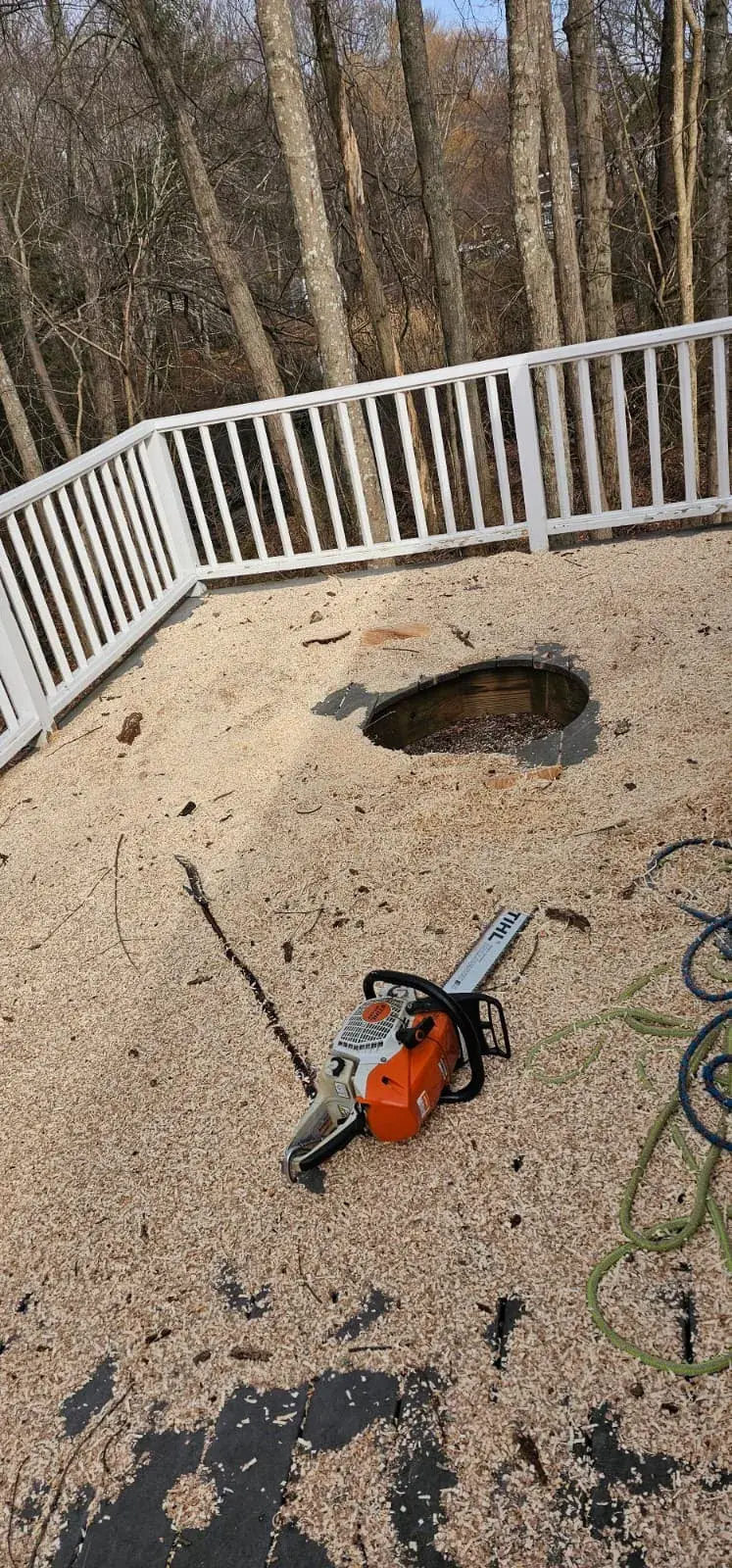 Gallery image 13